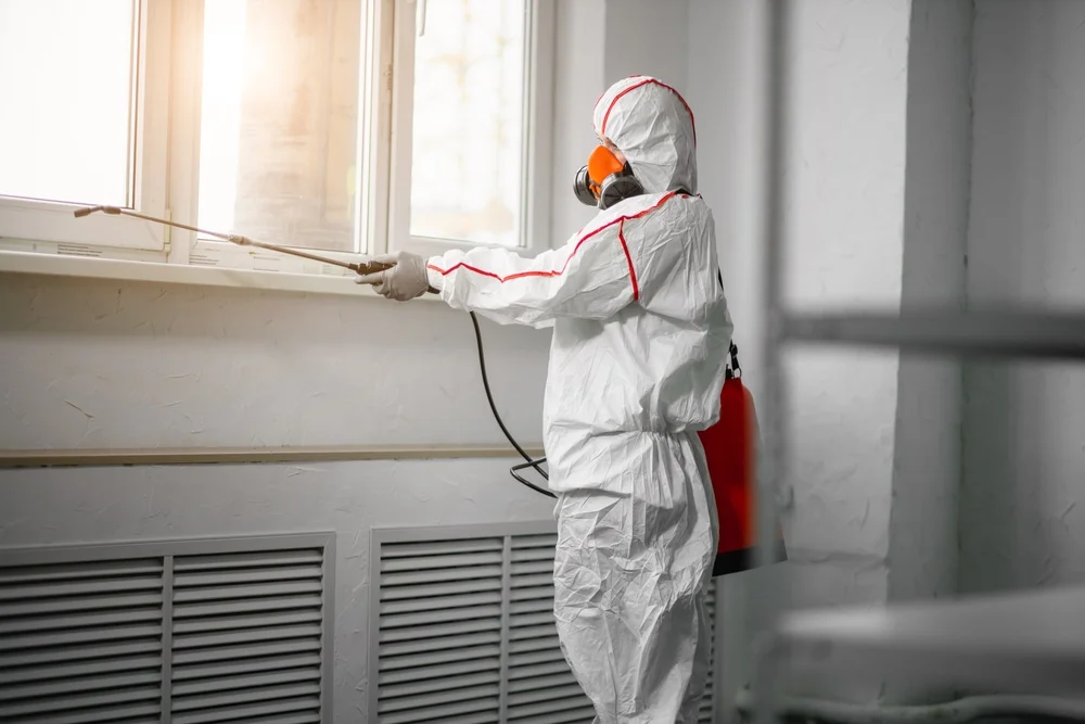 Professional mold remediation services in Sanibel, FL